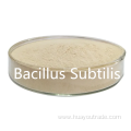 Bacillus subtilis soluble water 400CFU/G for feed additive